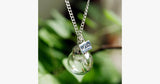 Natural Dandelion Seeds Wish Pendant - FREE SHIP DEALS