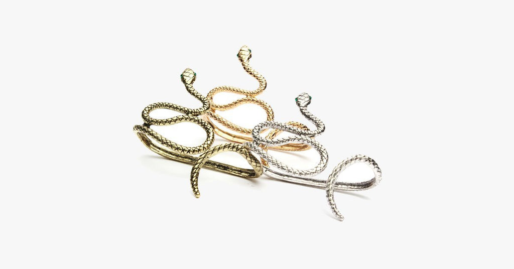 Exotic Snake Hand Bracelet - FREE SHIP DEALS