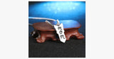 Big-Lil Sister-Mom Pendant Necklace - FREE SHIP DEALS
