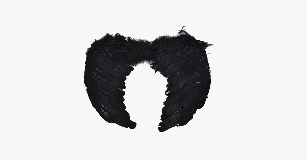 Angel Wings Halloween Costume - FREE SHIP DEALS