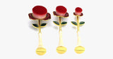 Rose Beauty Flawless Face Oval Brush Set