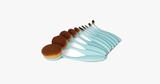 10 Piece Baby Blue Oval Brush Set - FREE SHIP DEALS