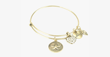 Lucky Star Charm Bangle - FREE SHIP DEALS
