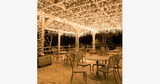 LED Fairy Lights - FREE SHIP DEALS