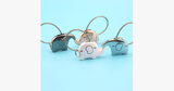 Save Elephant Love Keychain Set