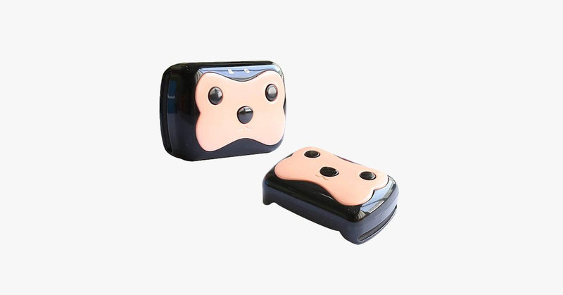 GPS Dog Tracker