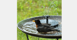 Solar Powered Fountain Pump