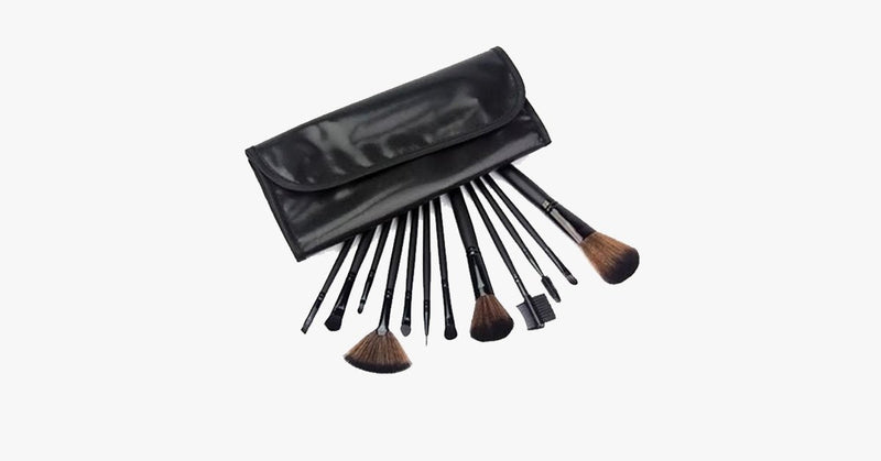 12 Piece Professional Black Brush Set - FREE SHIP DEALS