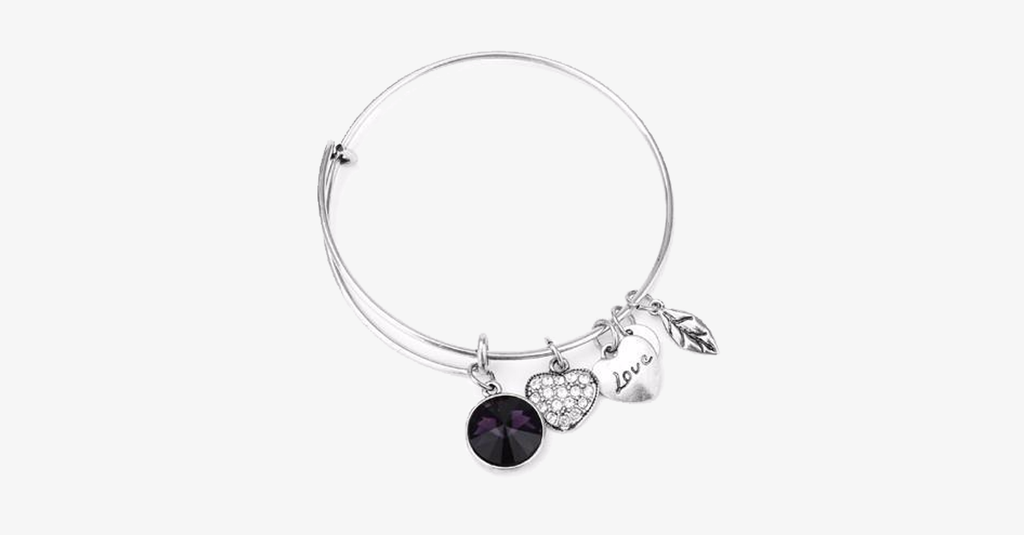 February Birthstone Charm Bangle - FREE SHIP DEALS