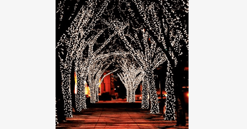 LED Fairy Lights - FREE SHIP DEALS