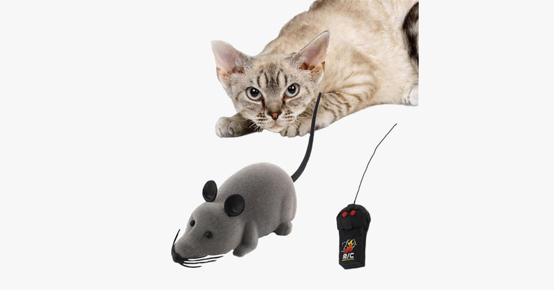 Electronic RC Rat Mouse Toy for Pet Cat - FREE SHIP DEALS