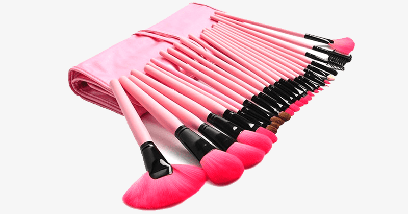 24 Piece Pink Glory Brush Set with Free Case - FREE SHIP DEALS